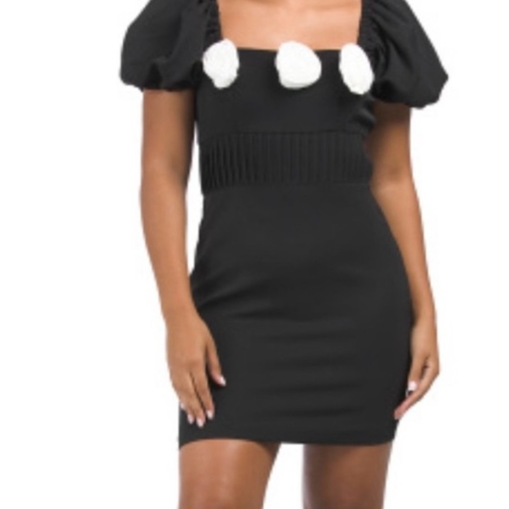 Endless Rose- Black Mini Dress